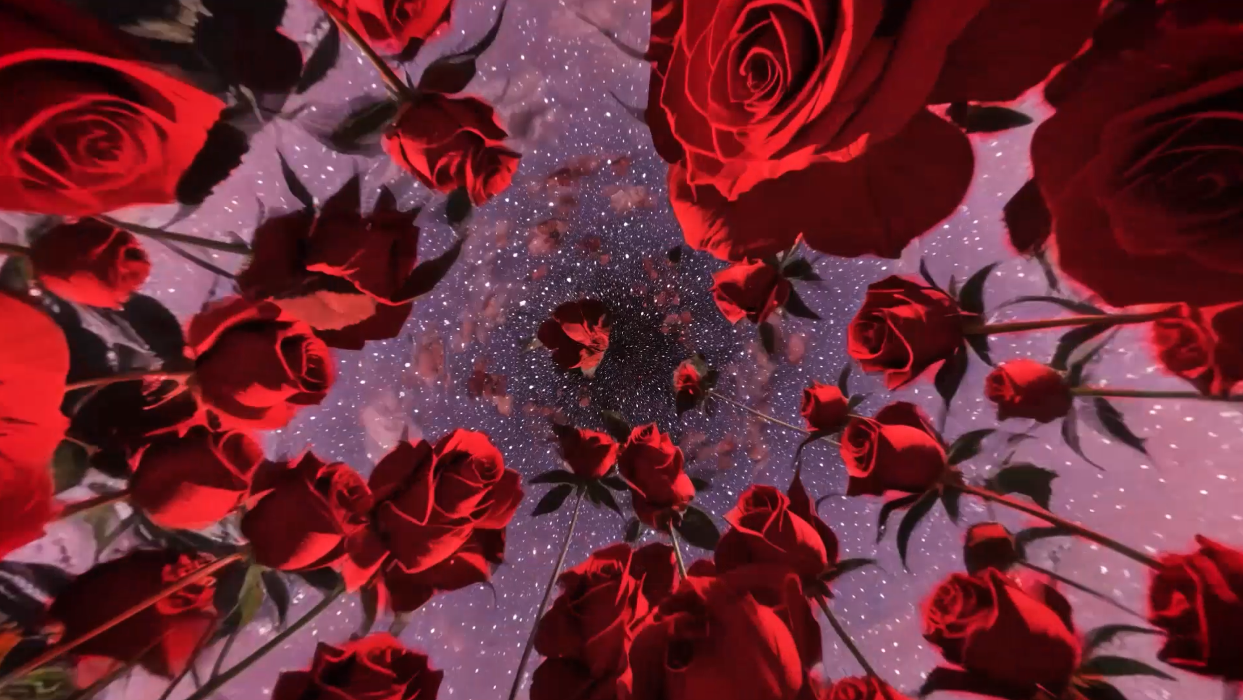 ROSES